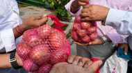 Onion Price: केंद्र सरकार की सब्सिडी वाली प्याज बिक्री के बाद कीमत में गिरावट, जानें भाव?
