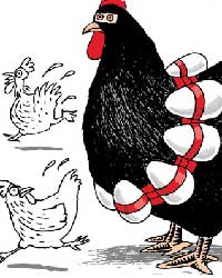 Bird Flu