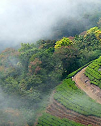 mount abu mount abu