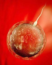 Sperm Sperm