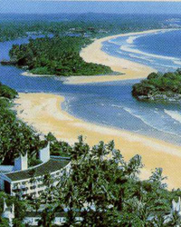 Goa Goa