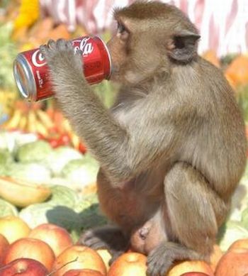 Coca Coala Coca Coala