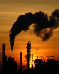 Industry Sector Industry Sector