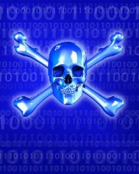 Virus Virus