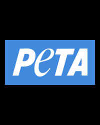 Peta Peta