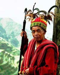 Tribes Tribes