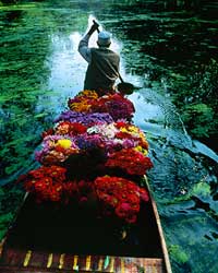 Kashmir Kashmir