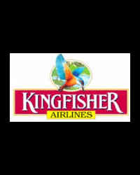 Kingfisher Kingfisher