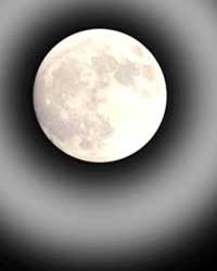 Moon Moon