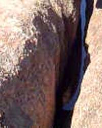 crack land crack land