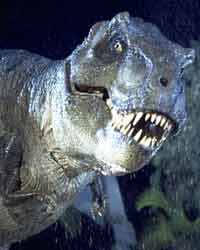 Dinosaur Dinosaur