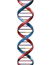 DNA Bank DNA Bank