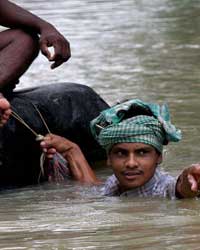 Flood in West Bengal Flood in West Bengal