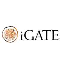iGate iGate