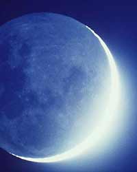 Moon Moon