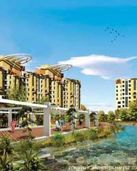 sahara city sahara city