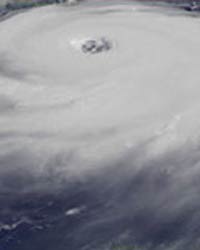Typhoon Typhoon