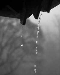 Rain Rain