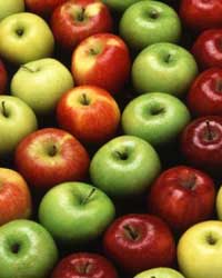 Apple Apple