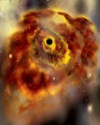 Black Hole Black Hole