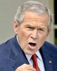 Bush Bush