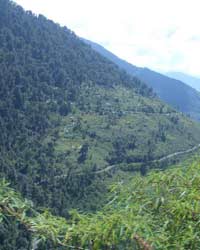 uttarakhand uttarakhand