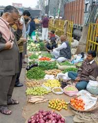 Vegetable price Vegetable price