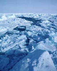 Arctic Sea Arctic Sea
