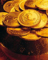 Gold Coins Gold Coins