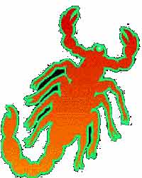 Scorpio Scorpio