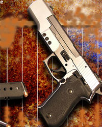 Gun Gun