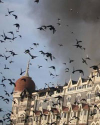 Pigeons fly near the burning Taj Hotel Pigeons fly near the burning Taj Hotel