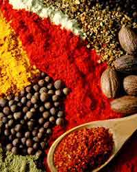 Indian Spices Indian Spices