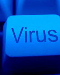 Virus Virus