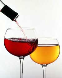 wine wine