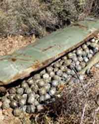 cluster bomb cluster bomb