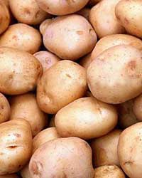 potatoes potatoes