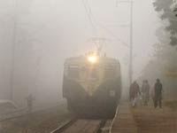 Fog Fog
