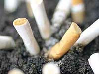 tobacco tobacco