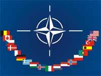 Nato Nato