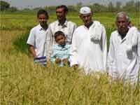 Farmers Farmers