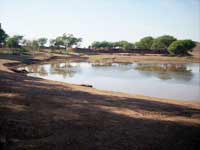 raipur good initative 26 ponds will be clean raipur good initative 26 ponds will be clean