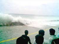 Tsunami Tsunami