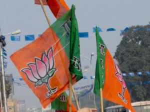 bjp bjp