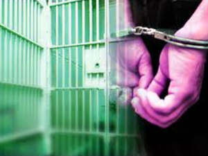 Arrested Arrested