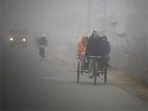Fog Fog