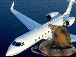 Plane Plane