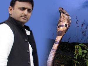 Nagin Gang warns Akhilesh Yadav over increasing rape cases Nagin Gang warns Akhilesh Yadav over increasing rape cases