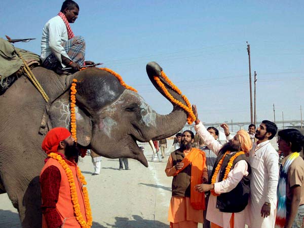साधुओं का एक समूह हाथी की पूजा करता हुआ