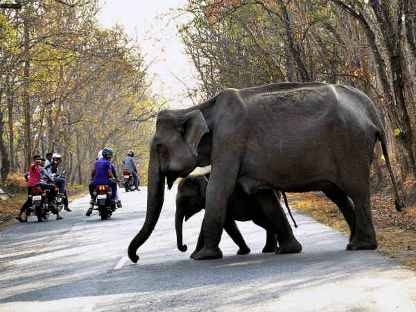 1 अक्टूबर से 31 अक्टूबर